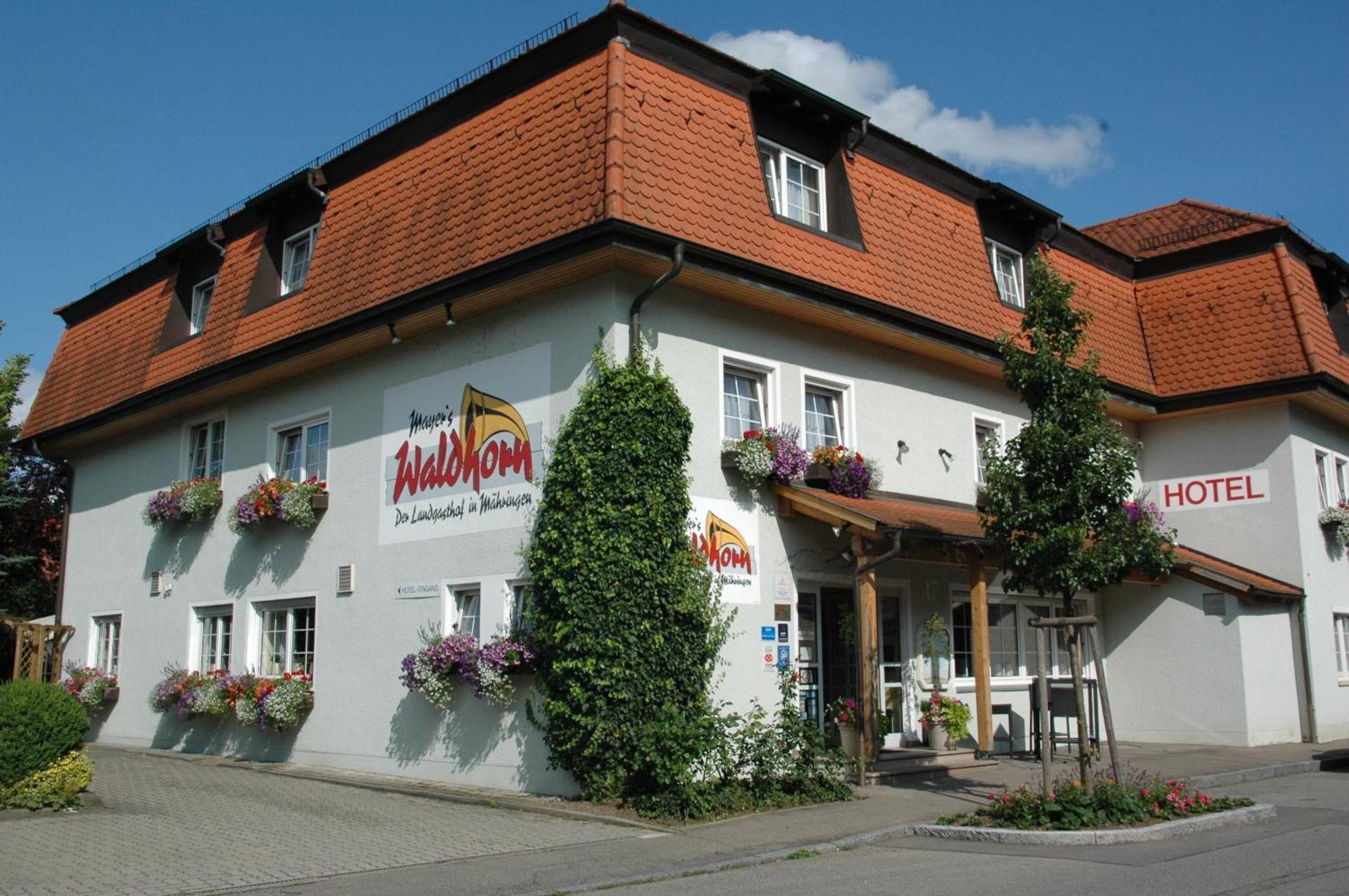 Mayers Waldhorn - Zwischen Reutlingen Und Tuebingen Kusterdingen Exteriér fotografie