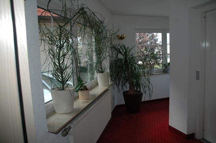 Mayers Waldhorn - Zwischen Reutlingen Und Tuebingen Kusterdingen Exteriér fotografie